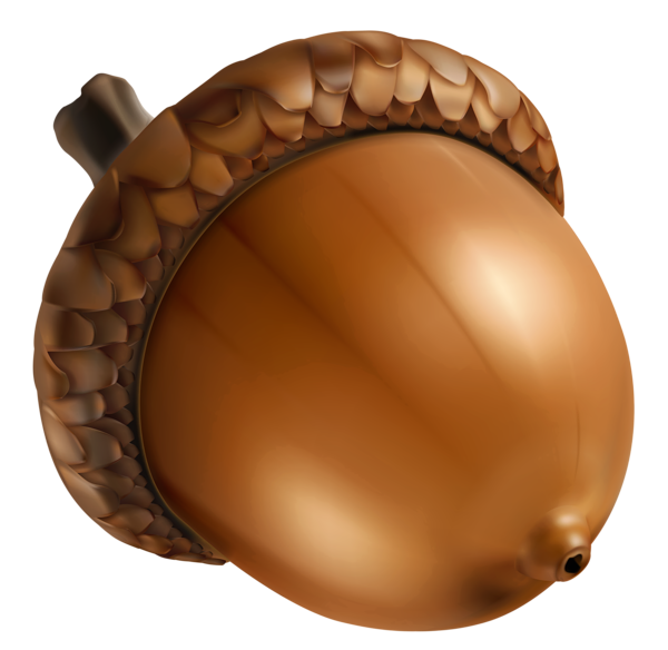 Today, the littlest, luckiest acorn is...